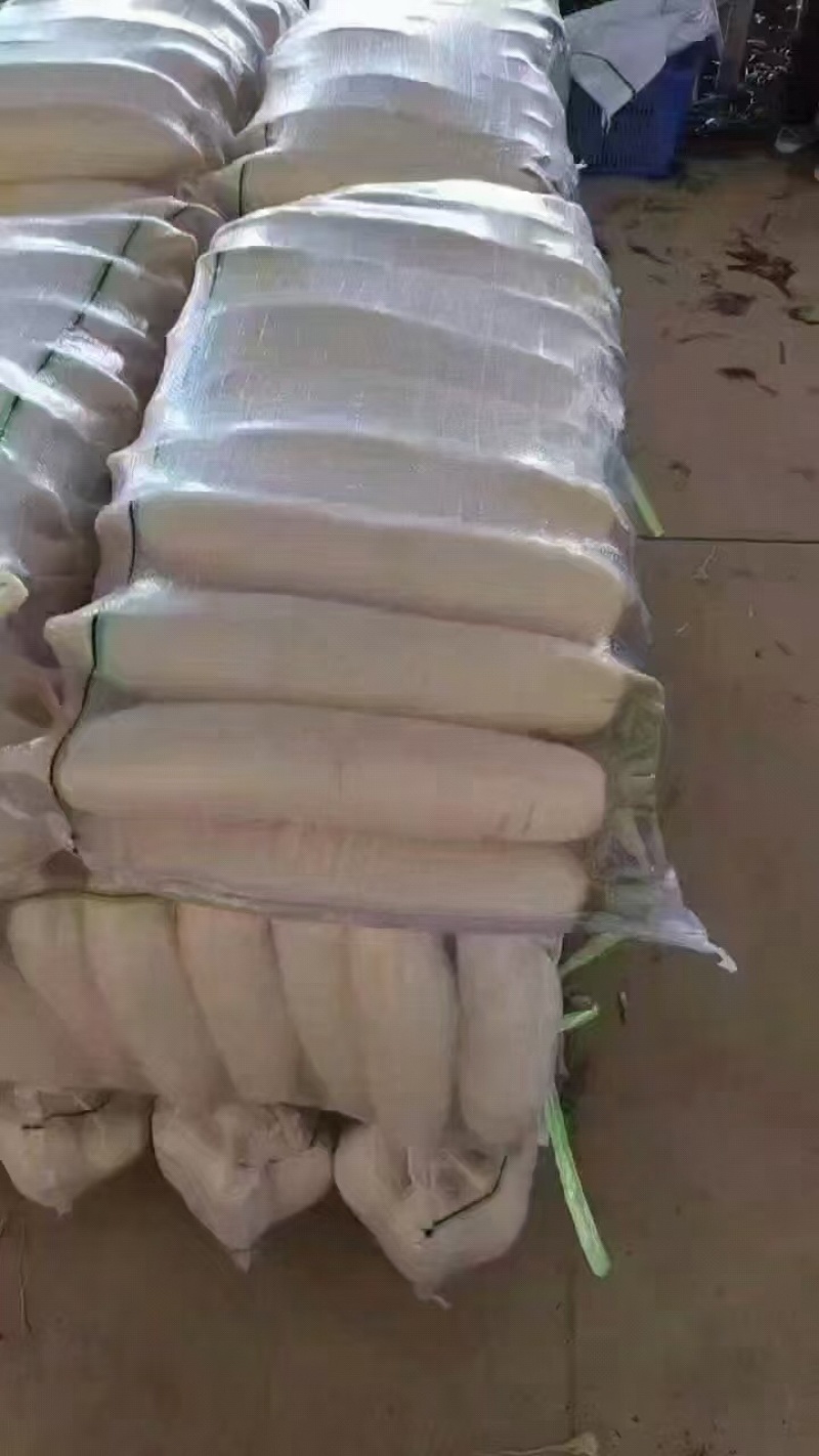 陕西榆林白萝卜大量上市，一手货源视频看货全国发货