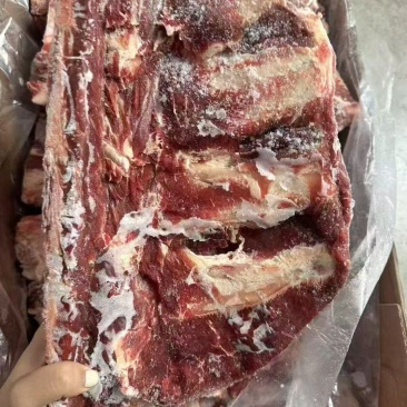 牛腰椎骨