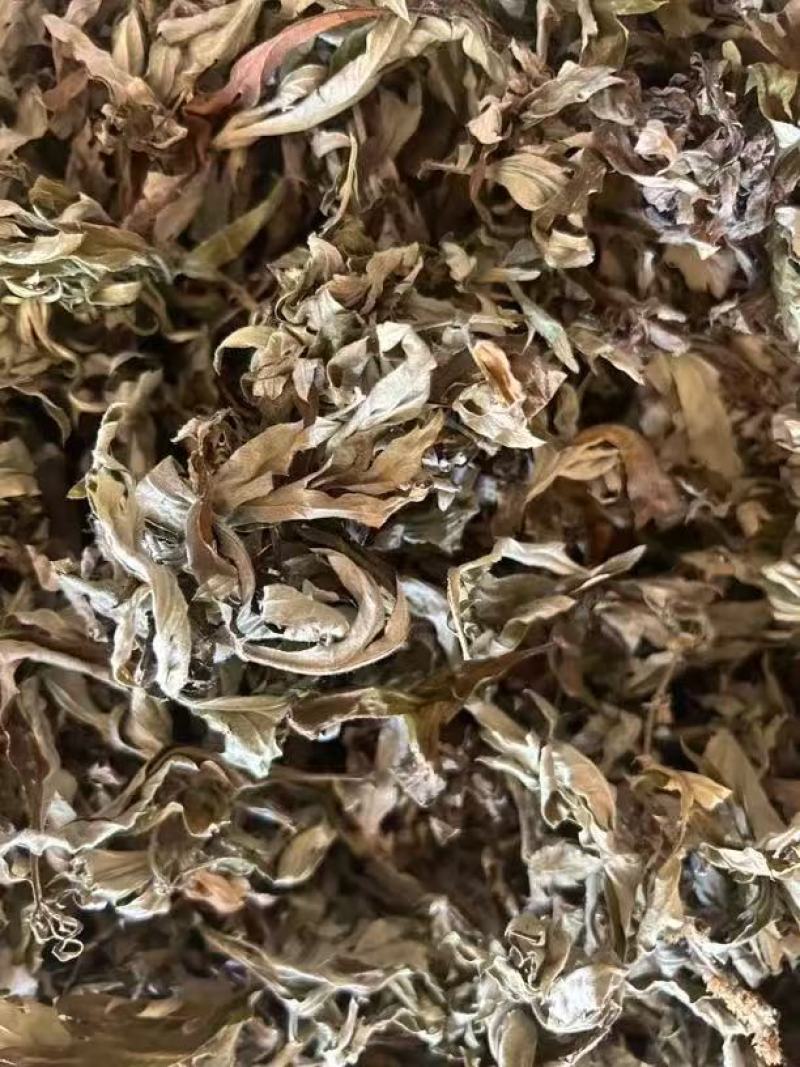 艾叶中药材碧江产地直供干燥纯净草本植物批发零售