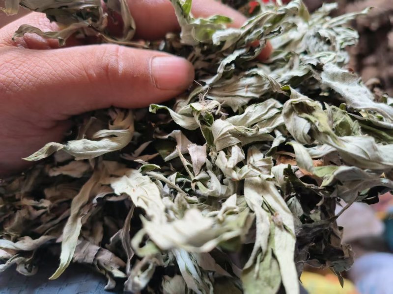 艾叶中药材碧江产地直供干燥纯净草本植物批发零售