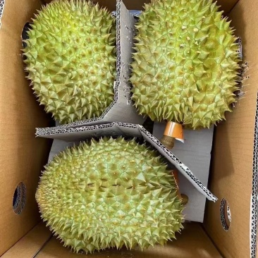 榴莲正当季