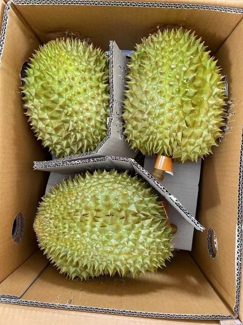 榴莲正当季