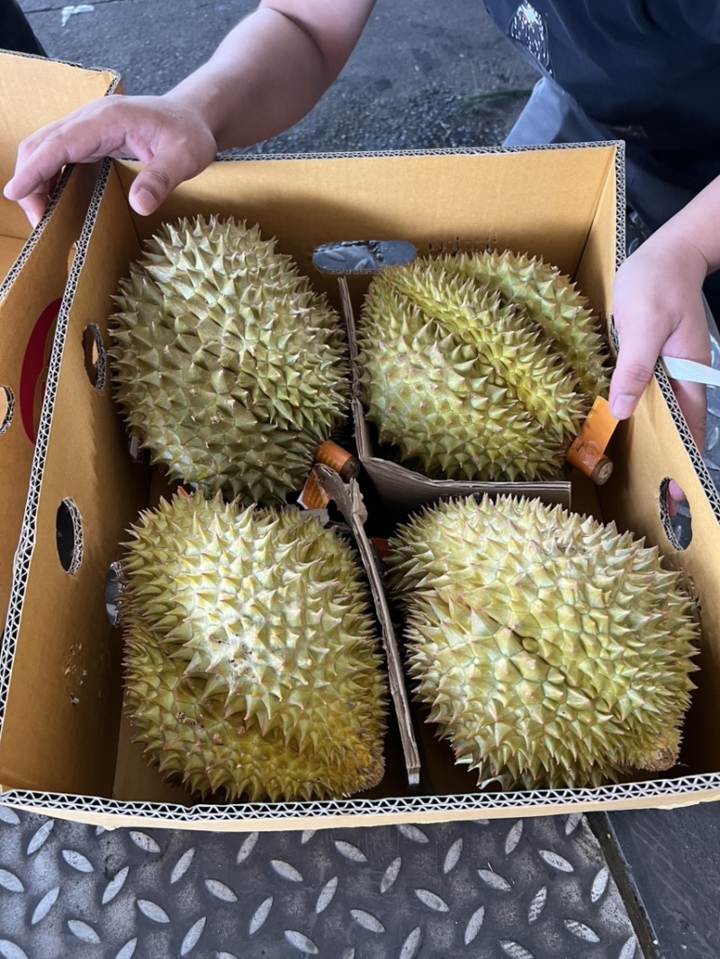 榴莲正当季
