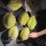 榴莲正当季