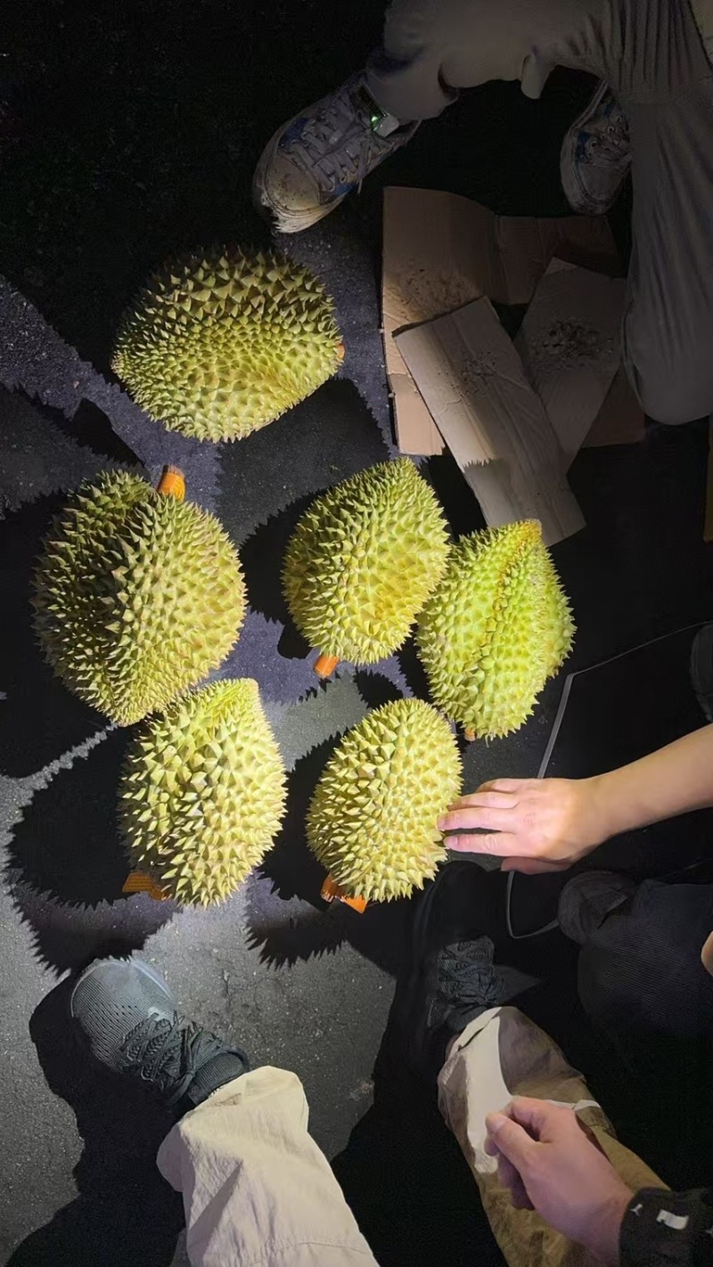 榴莲正当季