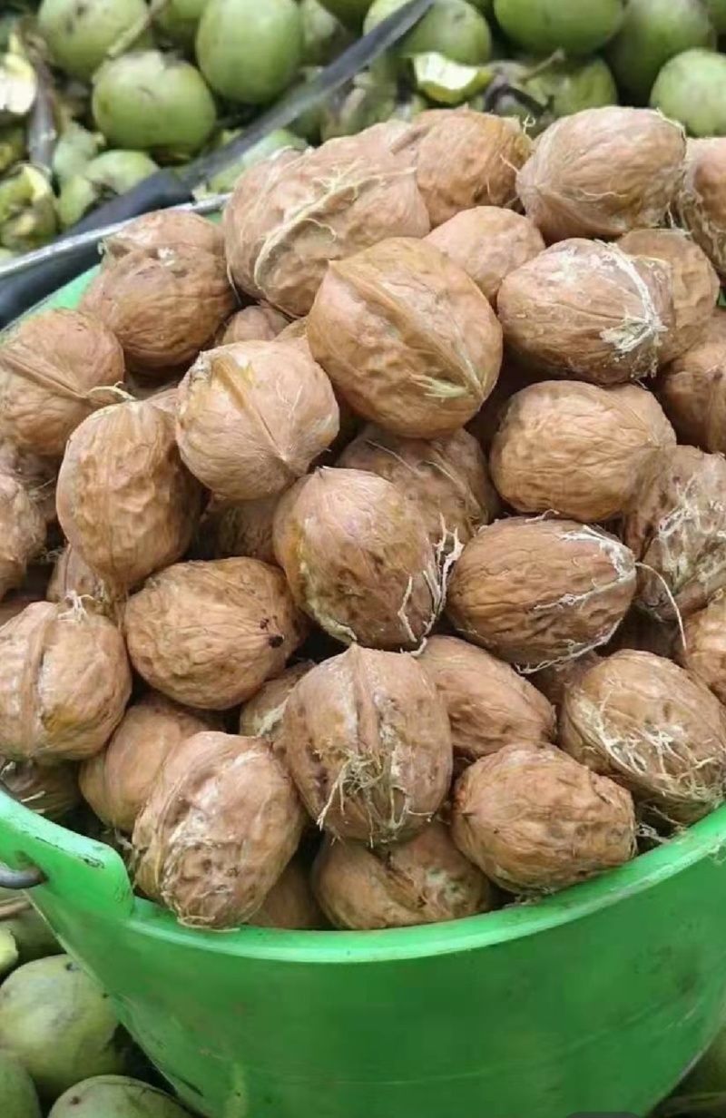社区，团购，电商，专业供应链一件代发，量大价低
