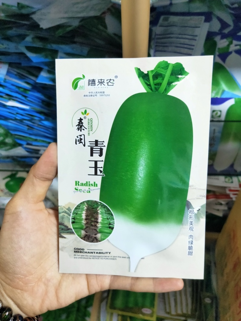 青玉罐萝卜种子蔬菜种子秋季种半白半青萝卜农家菜园秋播