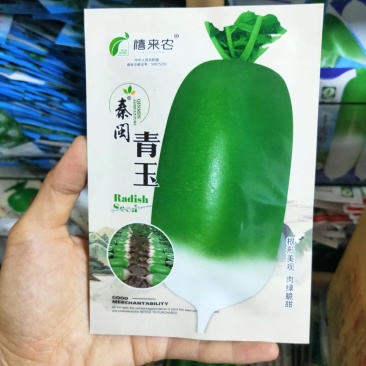 青玉罐萝卜种子蔬菜种子秋季种半白半青萝卜农家菜园秋播