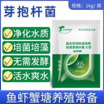 水净爽枯草芽孢杆菌水产养殖专用鱼虾蟹净化水质降氨氮亚盐