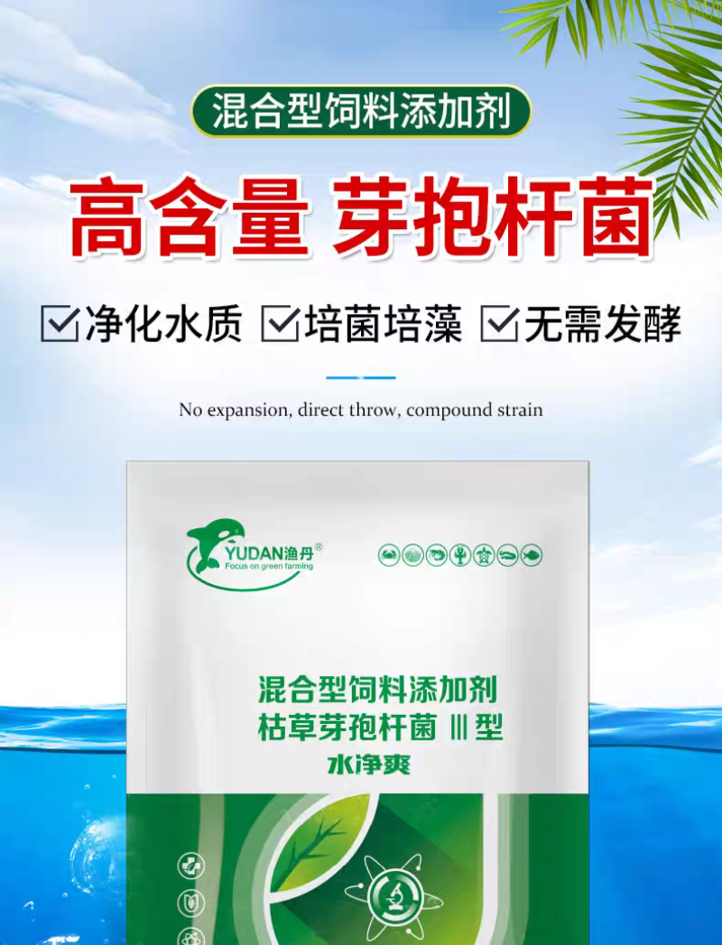 水净爽枯草芽孢杆菌水产养殖专用鱼虾蟹净化水质降氨氮亚盐