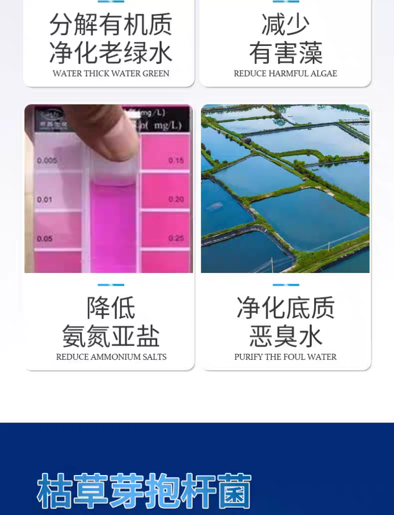 水净爽枯草芽孢杆菌水产养殖专用鱼虾蟹净化水质降氨氮亚盐