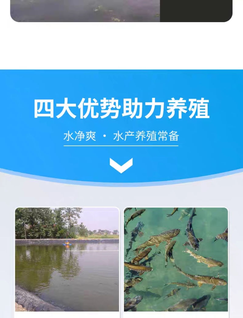 水净爽枯草芽孢杆菌水产养殖专用鱼虾蟹净化水质降氨氮亚盐