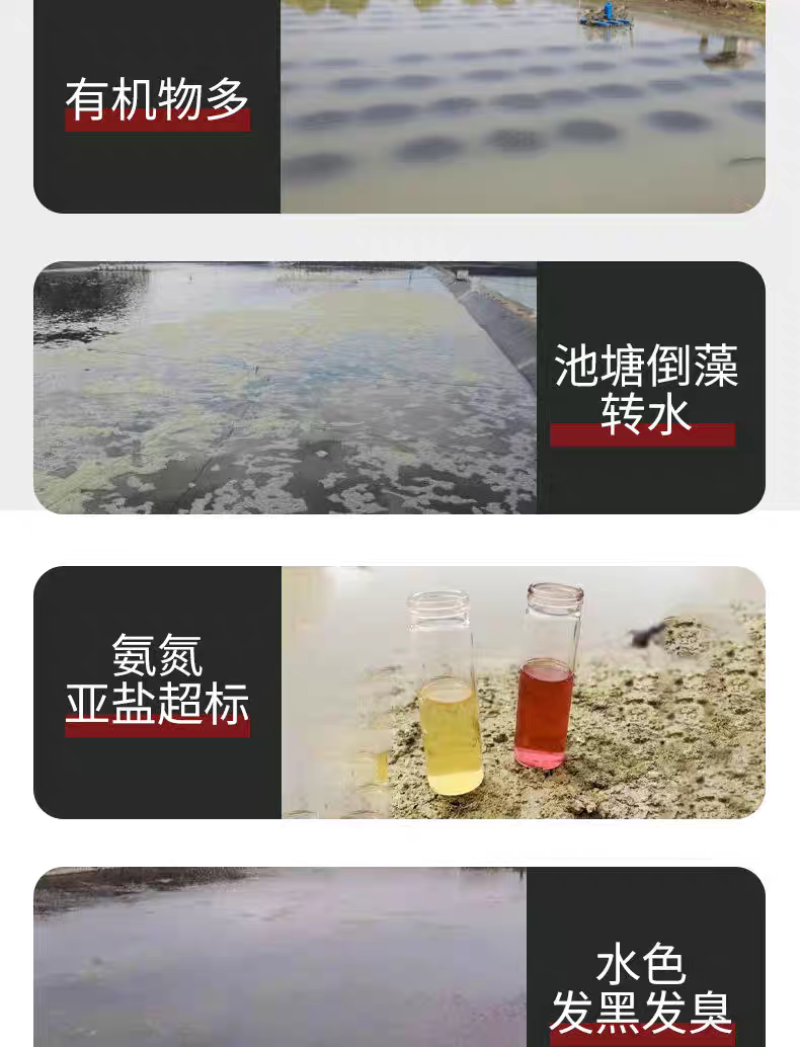 水净爽枯草芽孢杆菌水产养殖专用鱼虾蟹净化水质降氨氮亚盐