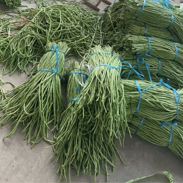 豆角，长豆角