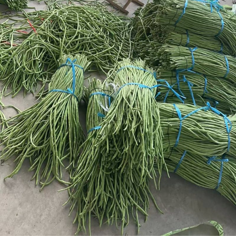 豆角，长豆角