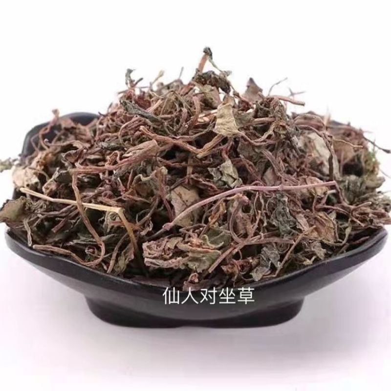 中药材神仙对坐草1公斤合掌消对座草