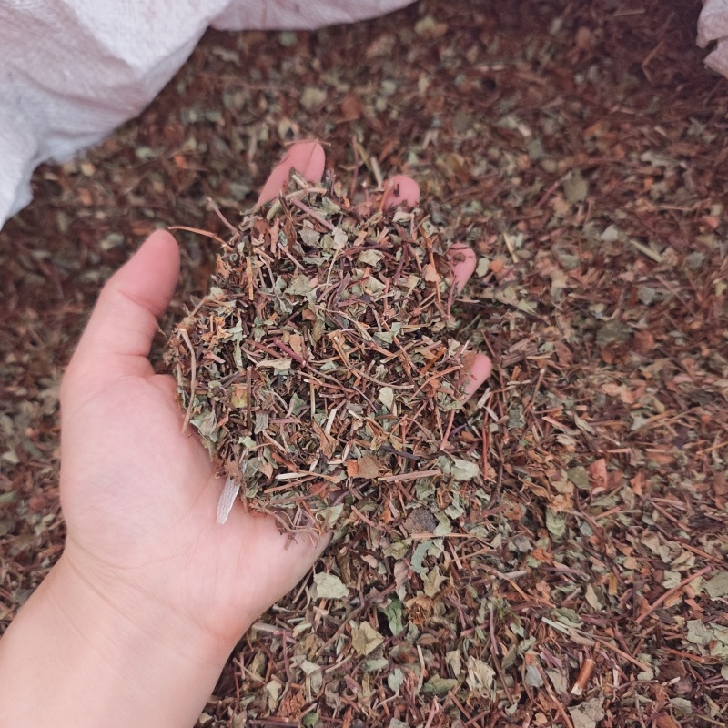 中药材神仙对坐草1公斤合掌消对座草
