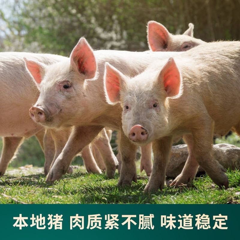 酱香猪舌口条真空包装开袋即食