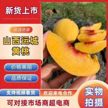 【支持一件代发】山西运城精品黄桃,产地直发服务周到
