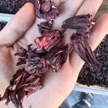 不染色洛神花无硫玫瑰茄泡茶