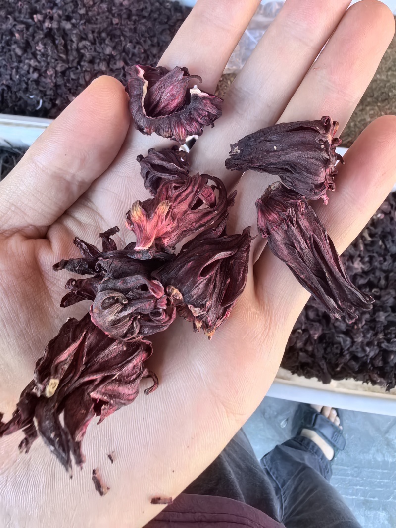 不染色洛神花无硫玫瑰茄泡茶