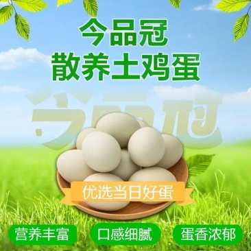 湖北麻城散养土鸡蛋