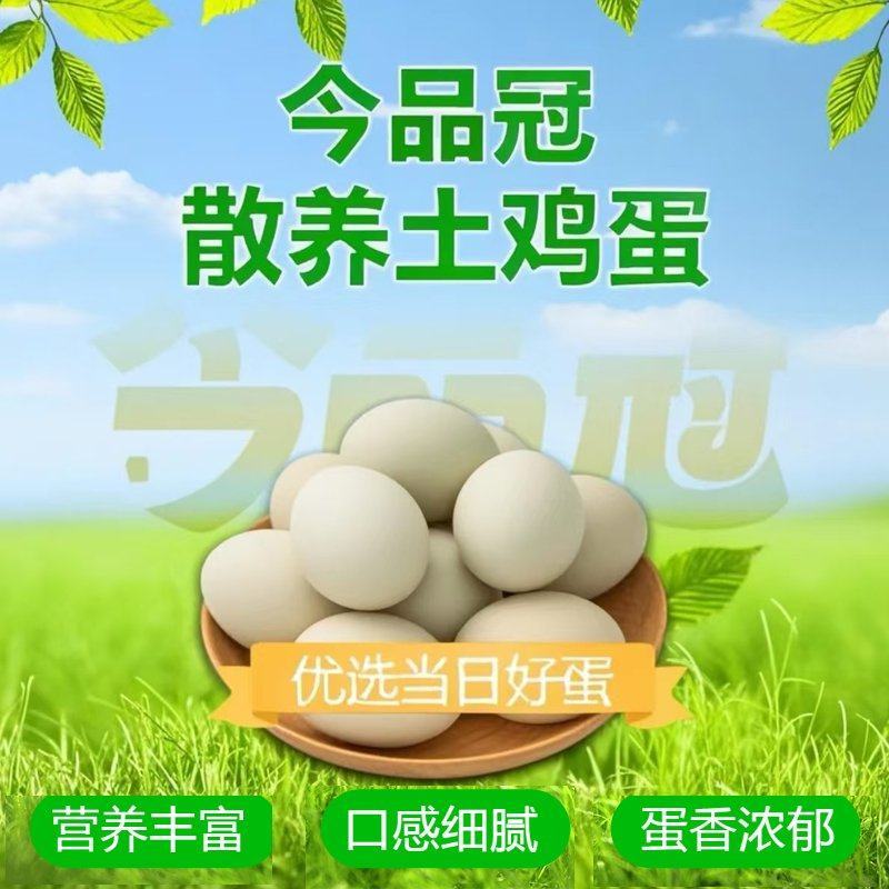 湖北麻城散养土鸡蛋