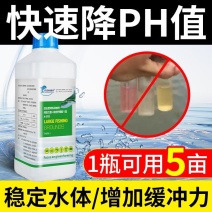 渔丹水体安降PH值稳定水质调水鱼虾蟹重金属水产用