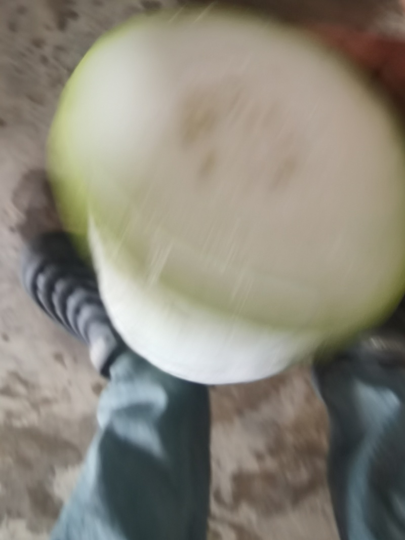 南通精品白冬瓜！产地直发量大从优欢迎来电咨询！