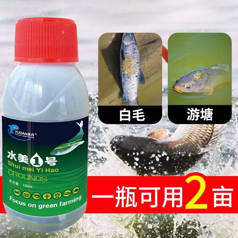 水霉一号专治水霉病白毛红斑烂鳃专用水霉克星厂家直销