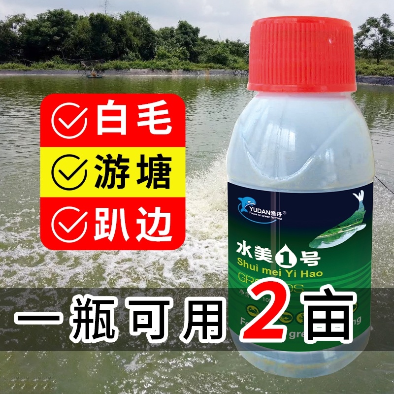 水霉一号专治水霉病白毛红斑烂鳃专用水霉克星厂家直销