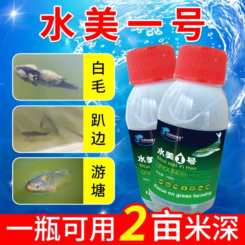 水霉一号专治水霉病白毛红斑烂鳃专用水霉克星厂家直销