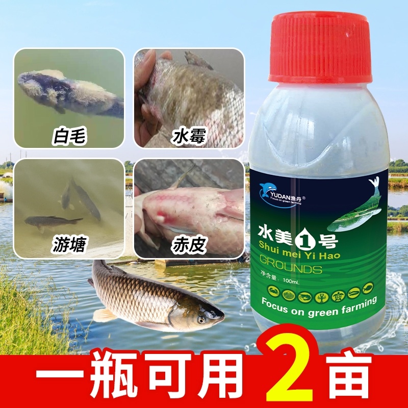 水霉一号专治水霉病白毛红斑烂鳃专用水霉克星厂家直销