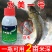 水霉一号专治水霉病白毛红斑烂鳃专用水霉克星厂家直销