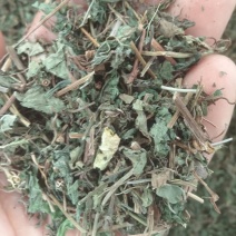 中药材绞股蓝，绞股蓝片规格齐全，可供大货量大从优