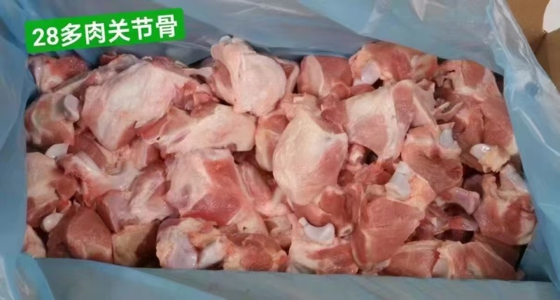 关节骨