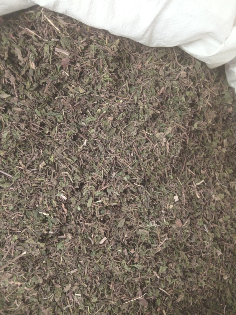 中药材绞股蓝，绞股蓝片规格齐全，可供大货量大从优