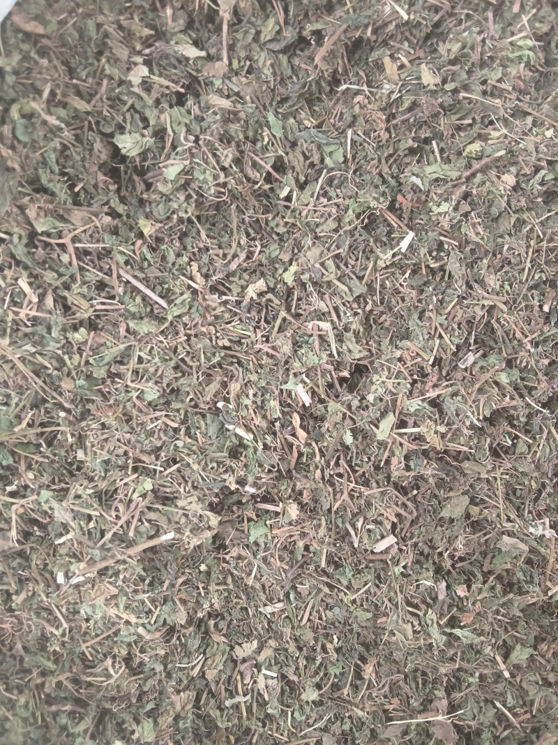 中药材绞股蓝，绞股蓝片规格齐全，可供大货量大从优