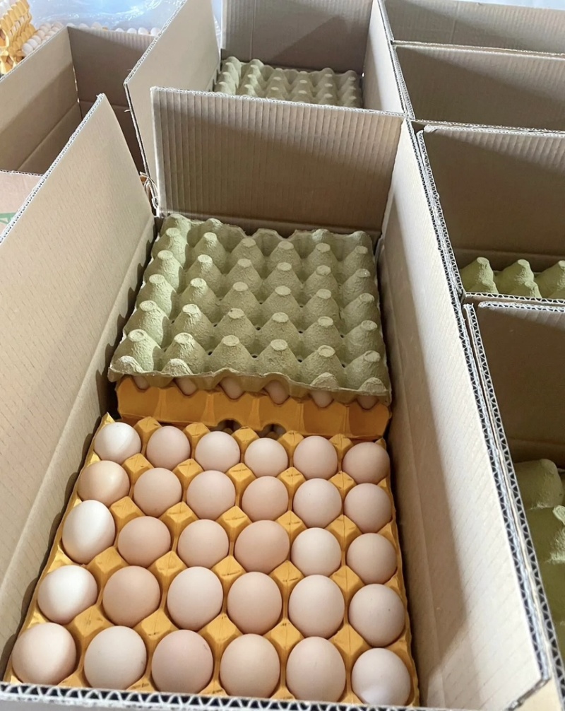 精品鸡蛋，一手货源，价格美丽，破损包赔，需要的欢迎联系！