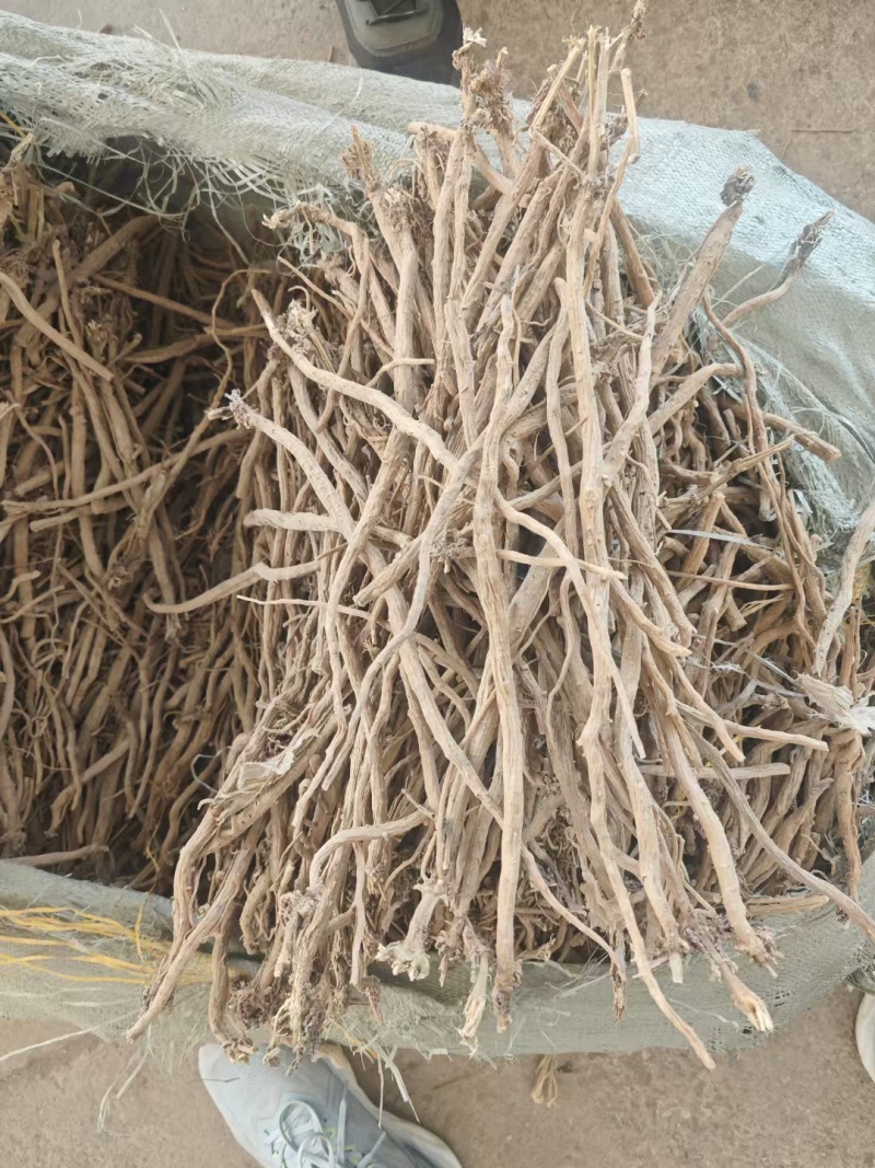 牛膝