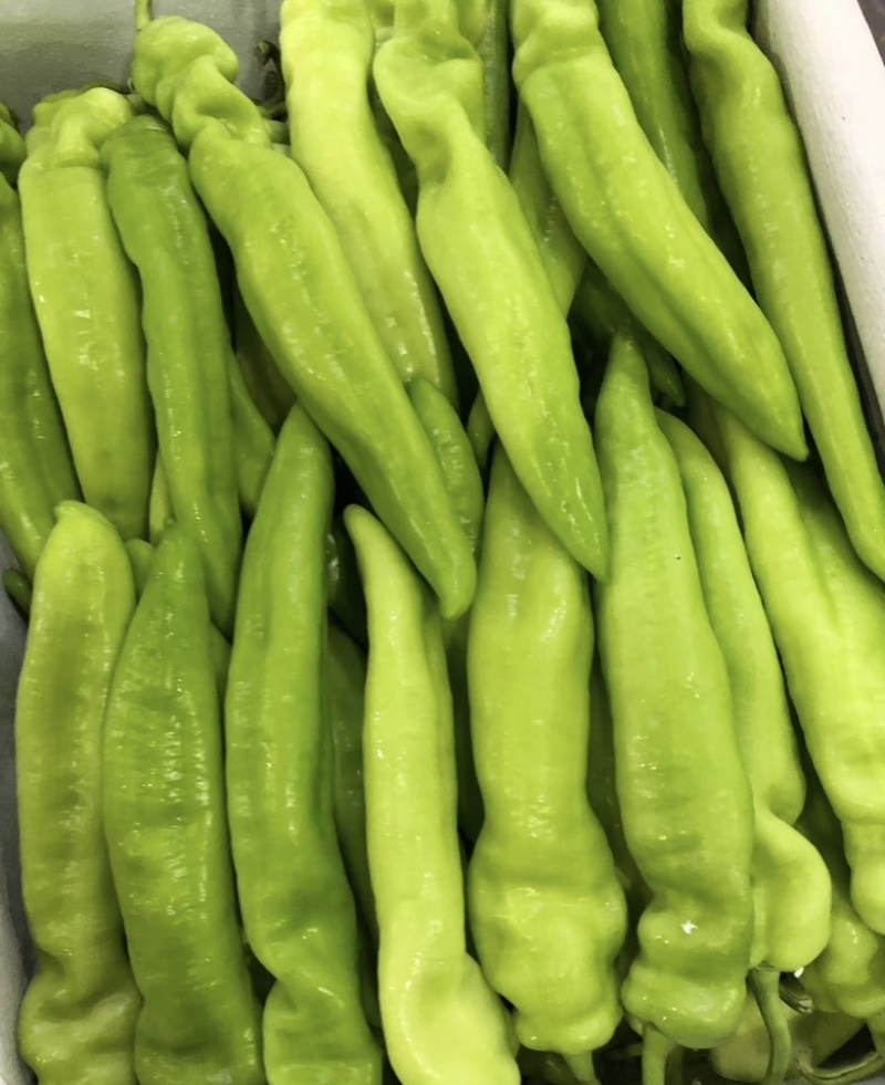 山西鲜辣椒黄皮辣椒大量供应，一手货源，量大从优