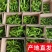 鲜辣椒山西辣椒螺丝椒大量供应新鲜采摘咨询