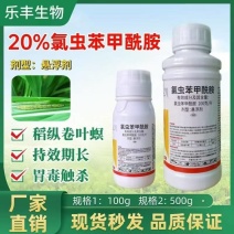 氯虫苯甲酰胺杀虫剂农药水稻二化螟内吸触杀胃毒杀虫谱广杀虫