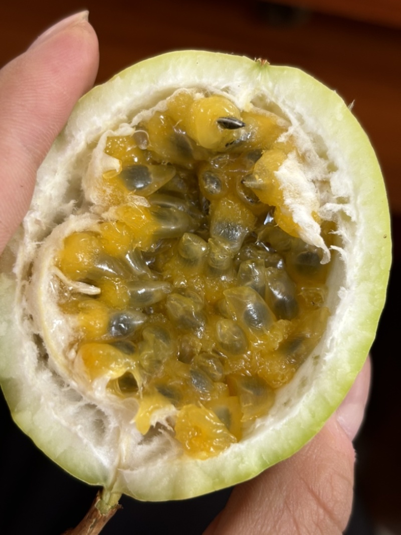 黄金百香果