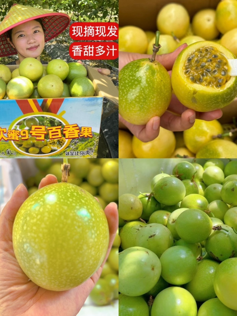 黄金百香果