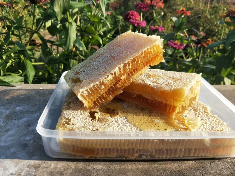 全封盖成熟槐花蜜，蜂王浆，花粉