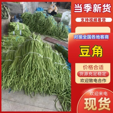 【精品】湖北长豆角、青豆角、豇豆，产地直发。