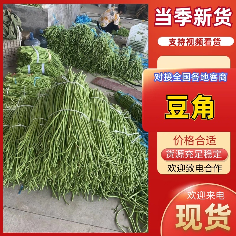 【精品】湖北长豆角、青豆角、豇豆，产地直发。