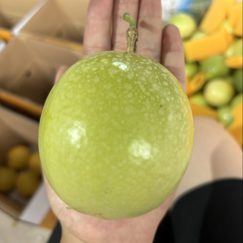 黄金百香果