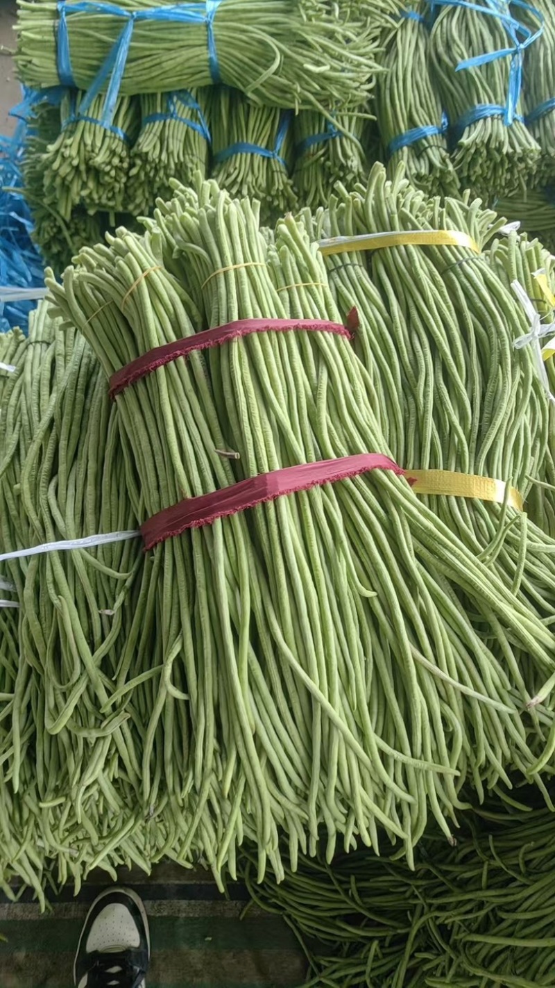 【精品】湖北长豆角、青豆角、豇豆，产地直发。